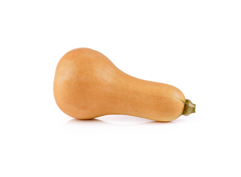 Butternut Squash