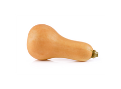 Butternut Squash