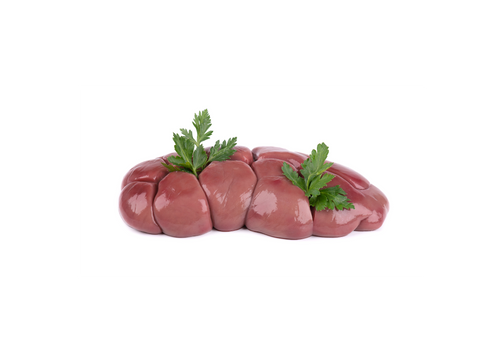 Beef Kidney