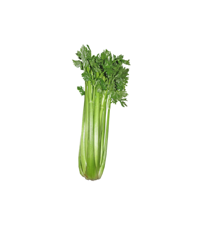 Celery