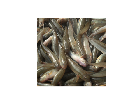 Chiring Fish