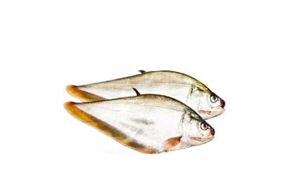 Foly Fish