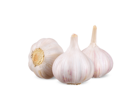 Fresh Garlic
