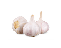 Fresh Garlic