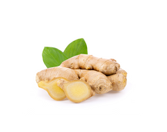 Ginger