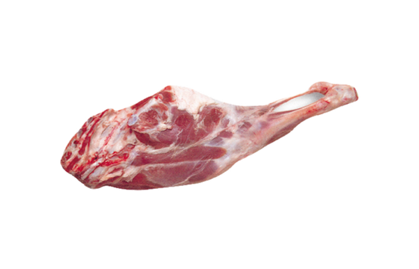 Goat Leg