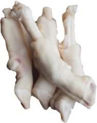 Meat & Poultry