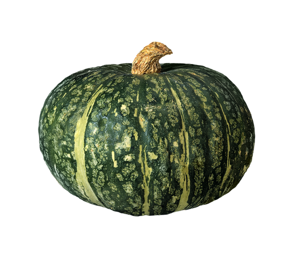 Kabocha