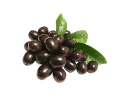 Kalamata