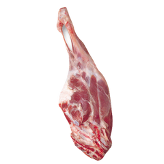 Lamb Leg