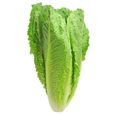 Produce