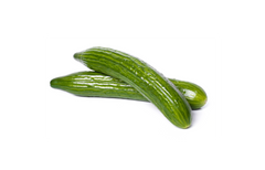 Persian Cucumber