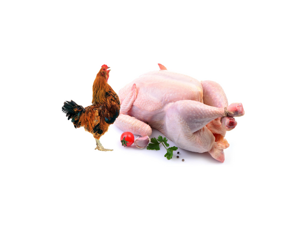Red Rooster