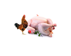 Red Rooster