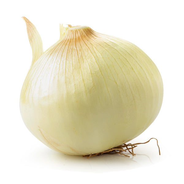 White Onion