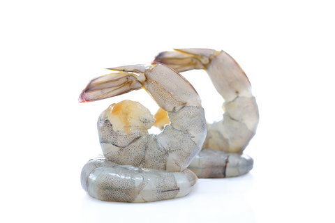 White shrimp 16/20