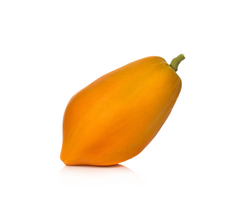 Yellow Papya