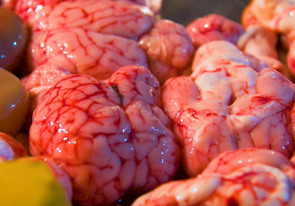 Lamb Brain