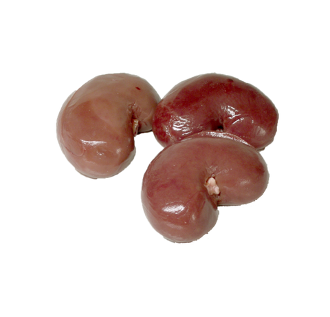 Goat/Lamb Kidney