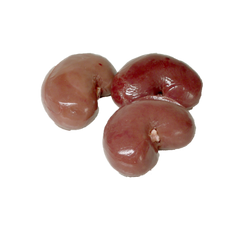 Goat/Lamb Kidney