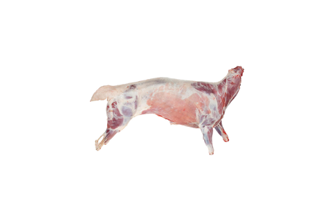 Whole Lamb