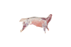 Whole Lamb
