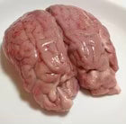 Lamb Brain
