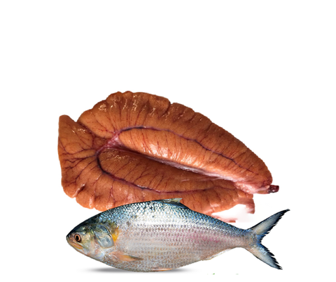 Hilsa Fish 3Pack - Grocee