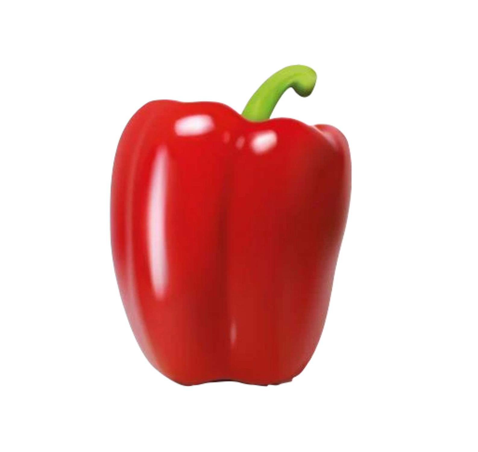 Bell pepper green – Desi Grocery